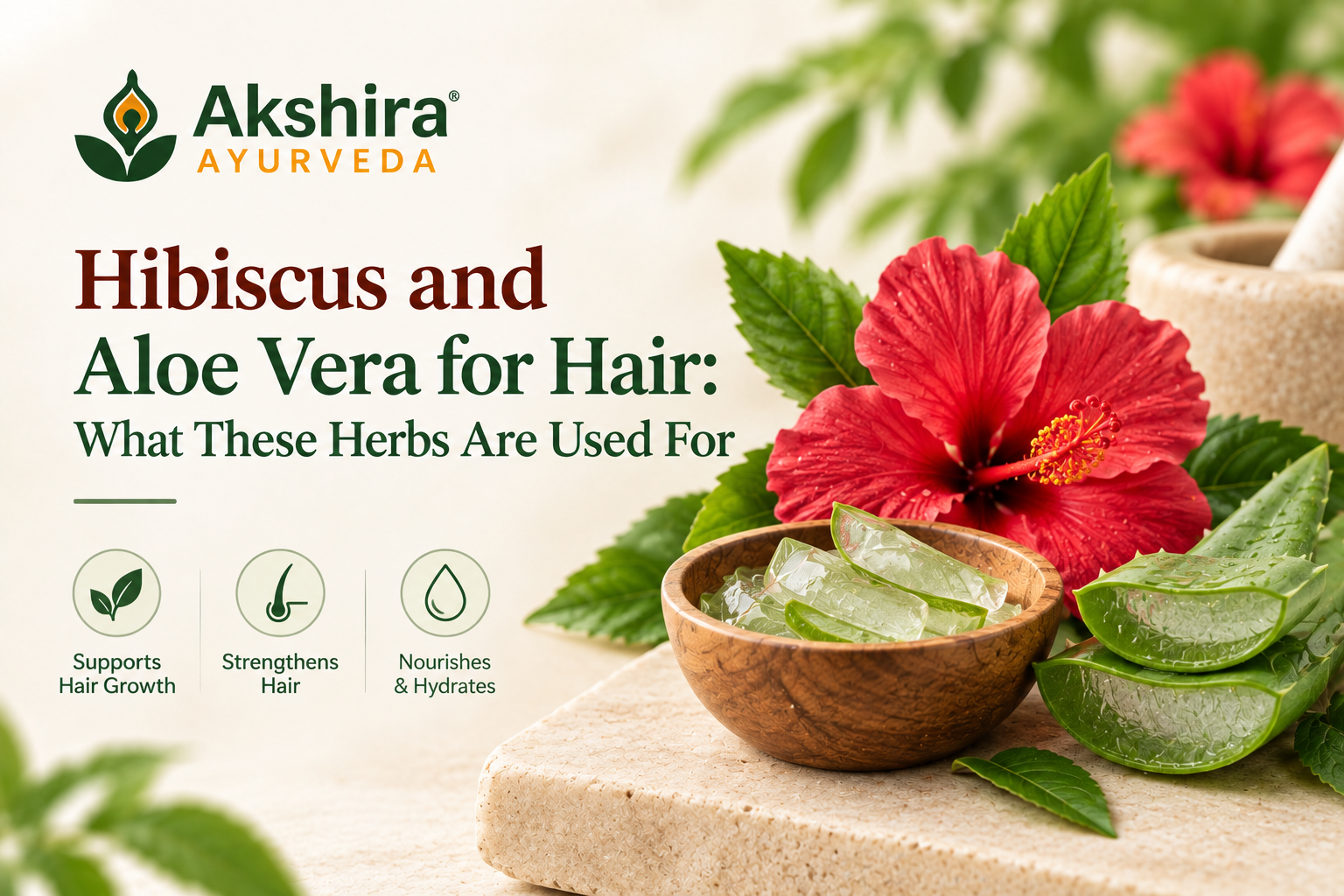 Hibiscus and Aloe Vera for Hair What These Herbs Are Used For